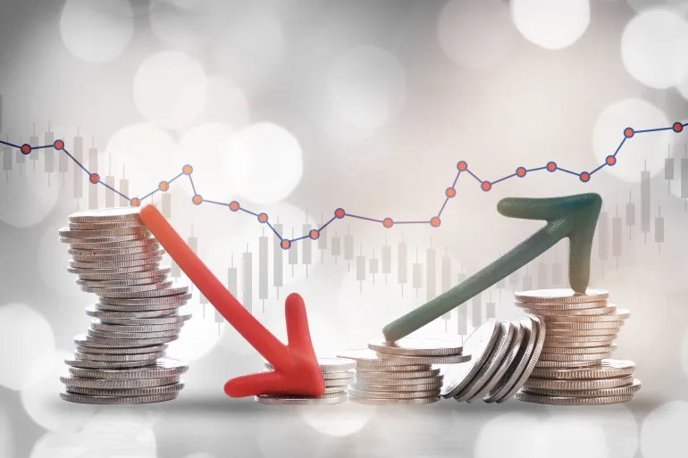 الإستثمار والتنمية